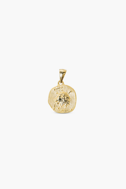 zodiac charm