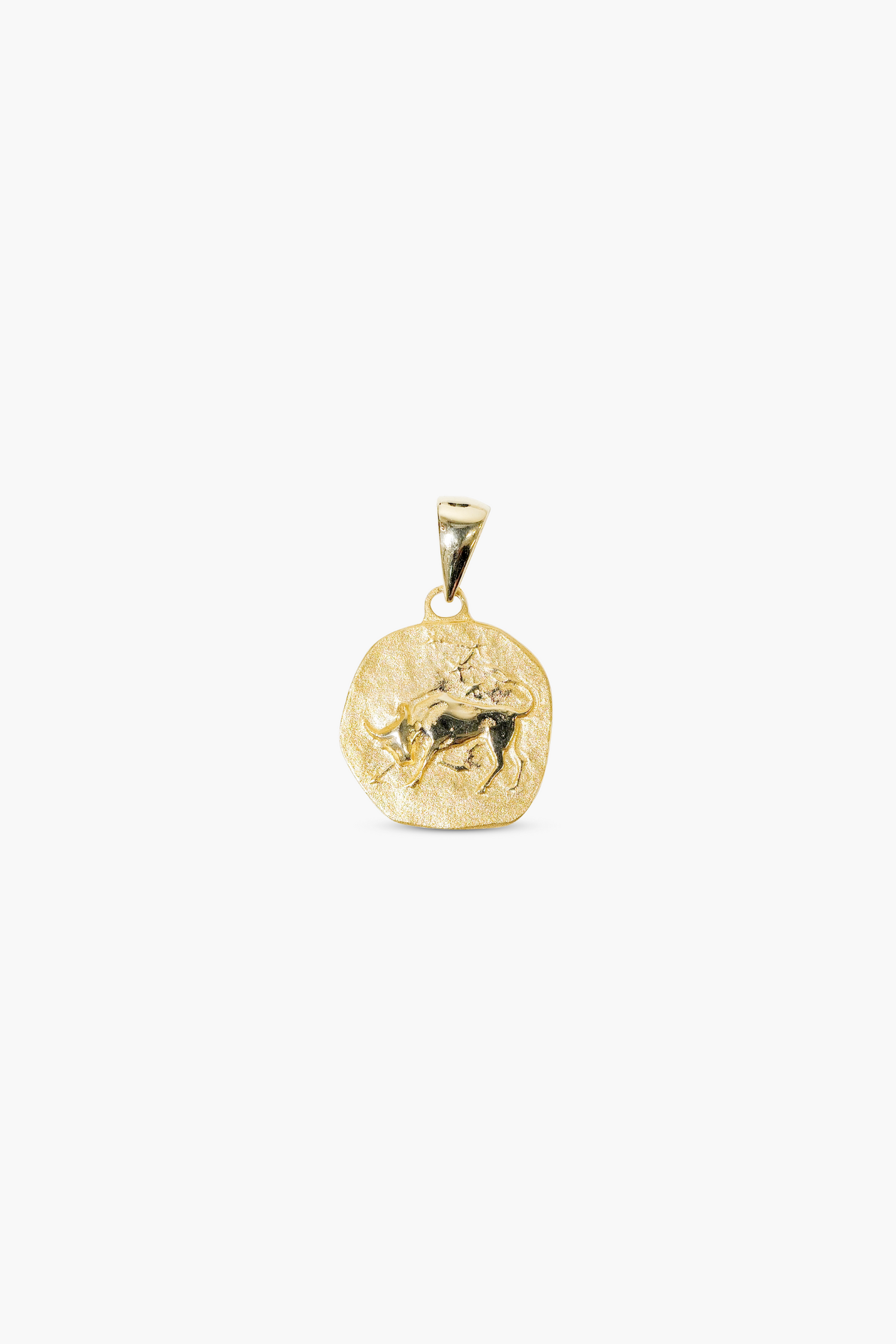 zodiac charm