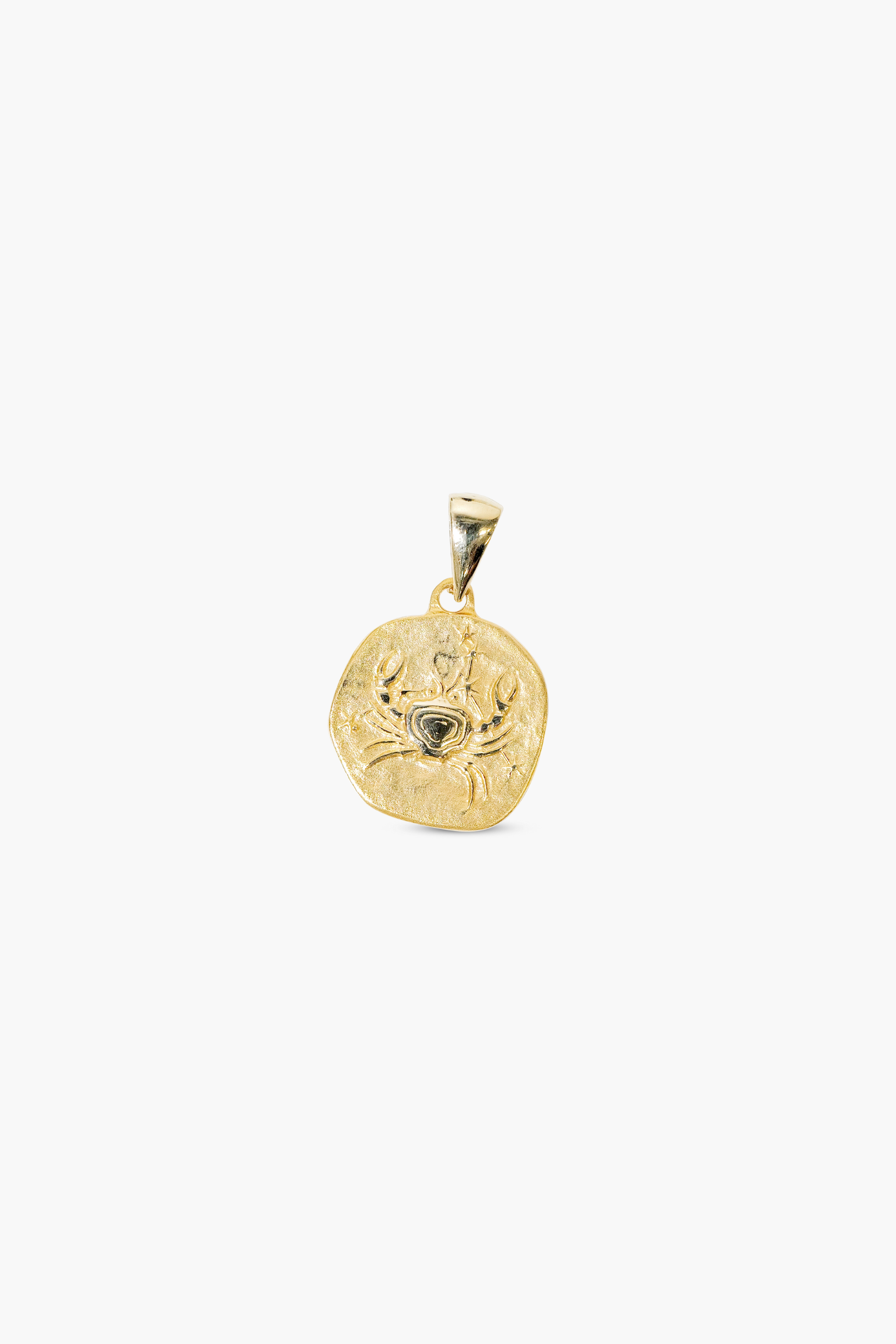 zodiac charm