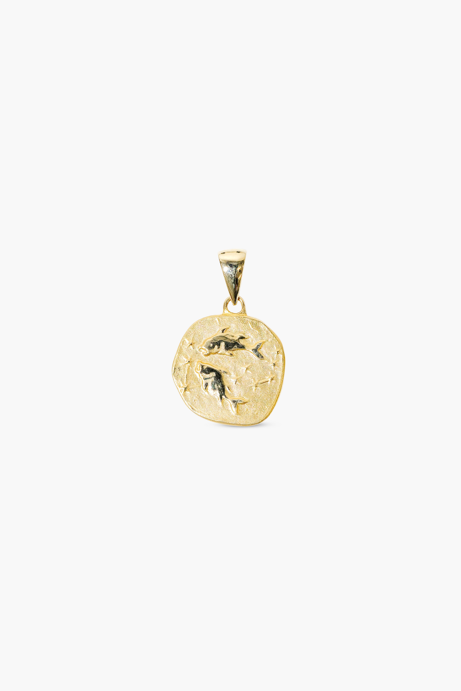 zodiac charm